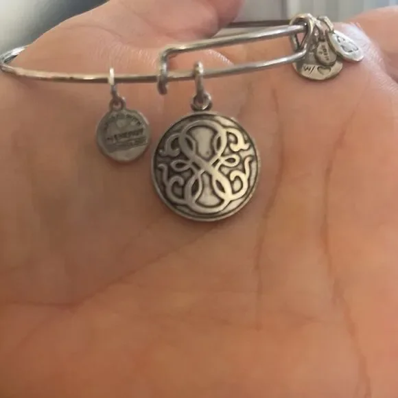 Alex and Ani Path of Life Energy Silver Bracelet - Picture 5 of 5